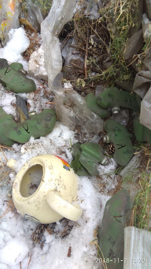 Поисковики наткнулись в лесу возле кладбища Читы на противопехотные мины