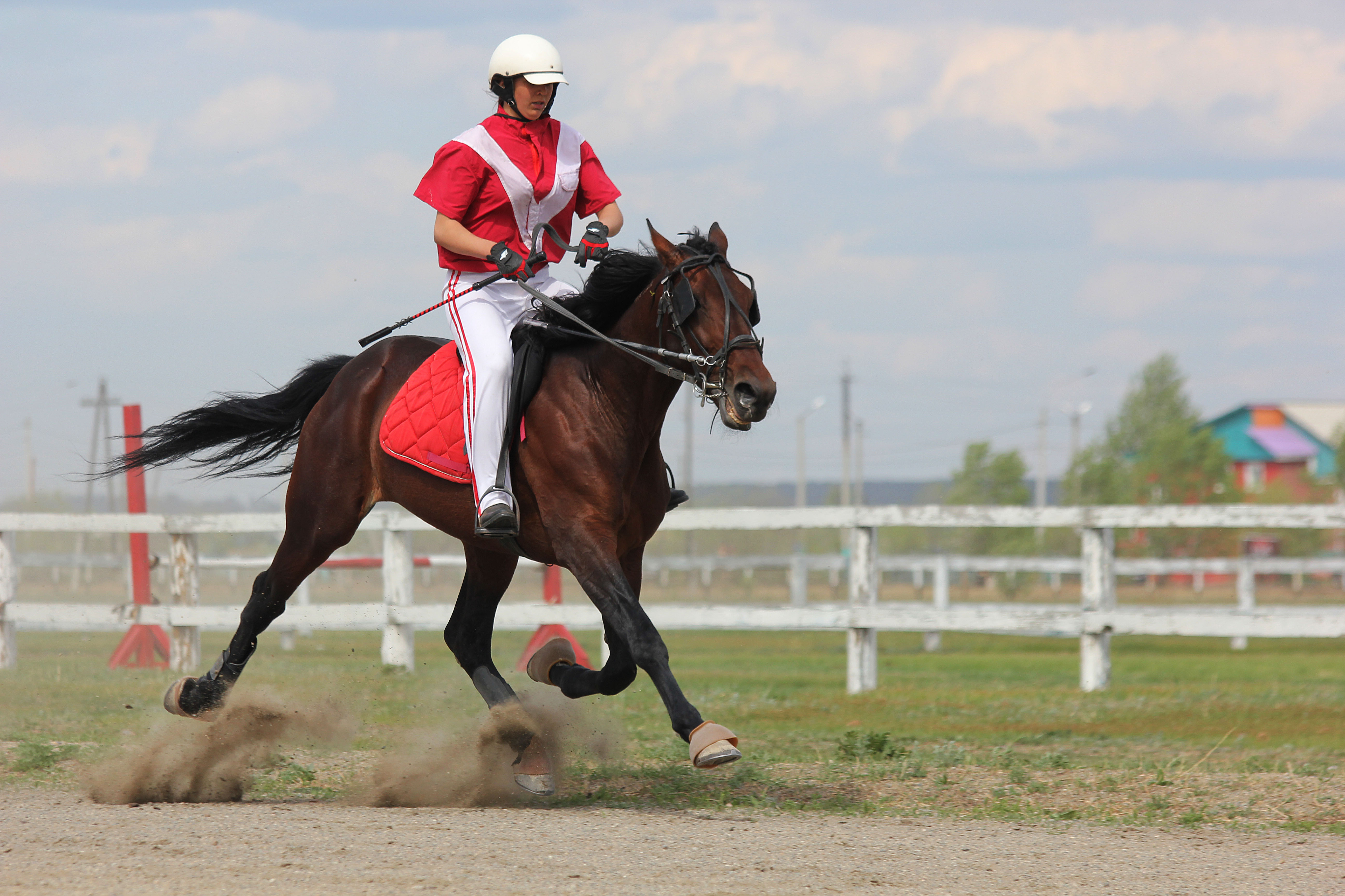 Самая красивая работа