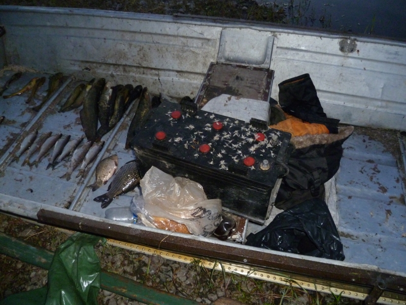 Троим забайкальцам грозит 5 лет колонии за ловлю рыбы электроудочкой