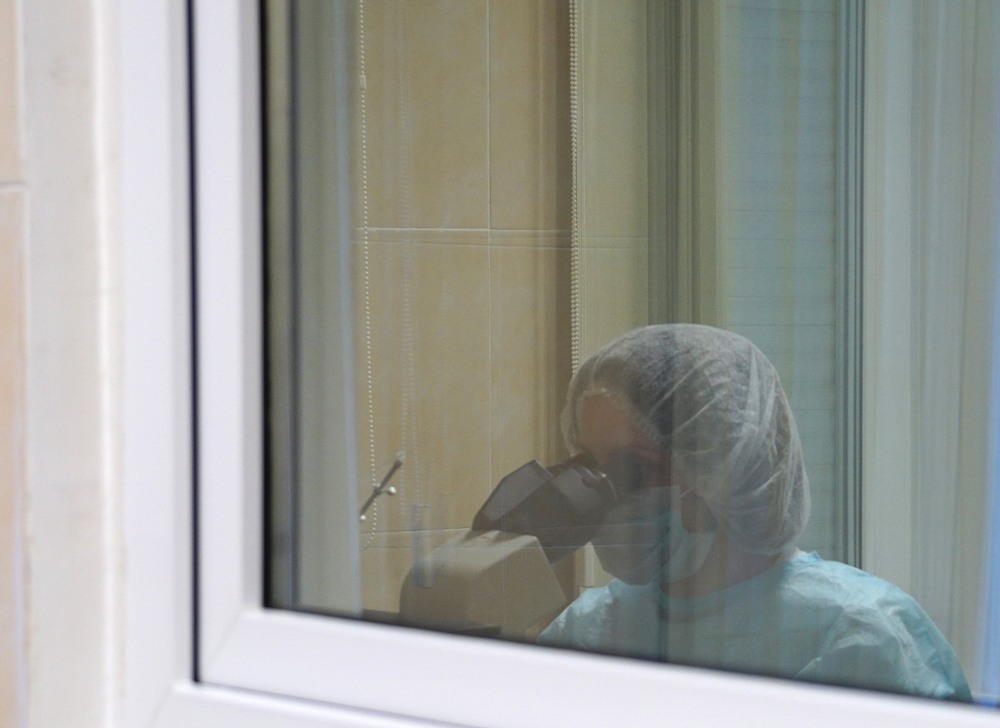 Оборудование для искусственного оплодотворения за 1,8 млн р закупили в Забайкалье