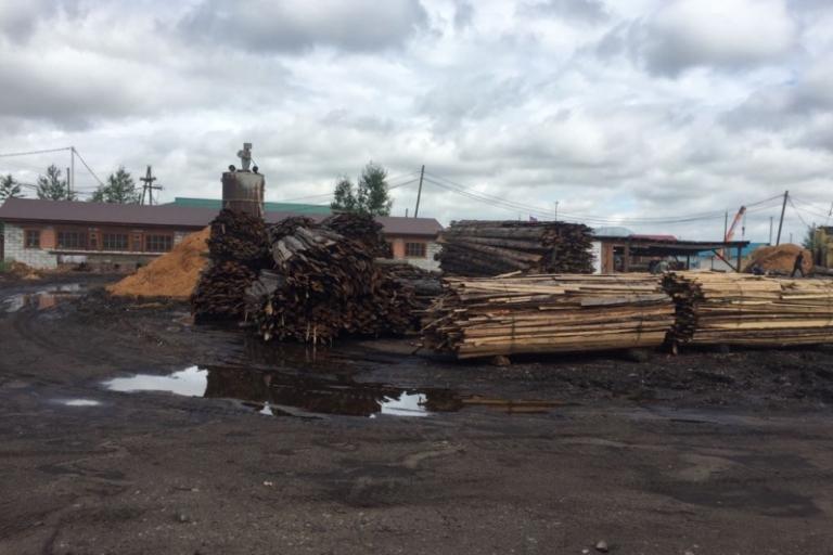 Нелегальных продавцов древесины выявил в Чите ОНФ