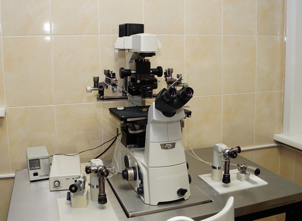 Оборудование для искусственного оплодотворения за 1,8 млн р закупили в Забайкалье