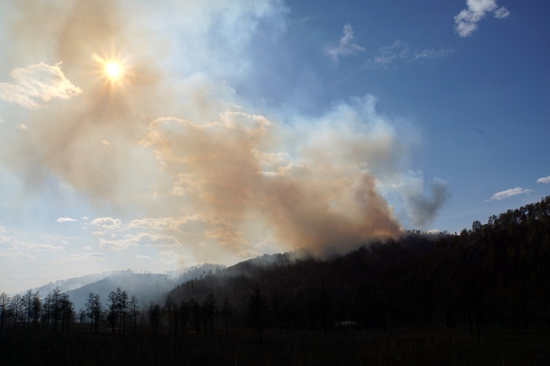 Плюхин: «Власть не владеет пожарной обстановкой»