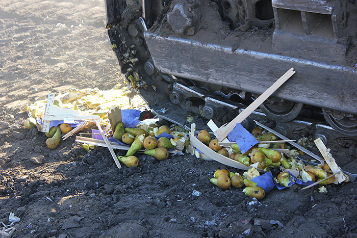 Более 28 тонн «санкционки» уничтожили в Забайкалье за 3,5 года