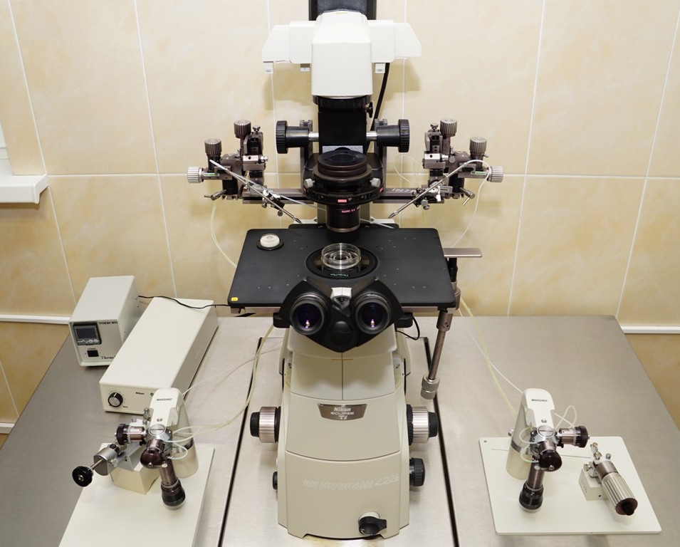 Оборудование для искусственного оплодотворения за 1,8 млн р закупили в Забайкалье