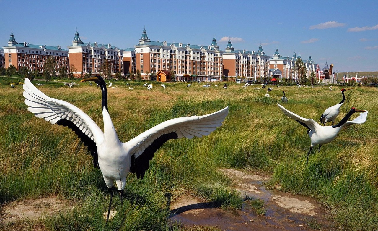 Ориентировщики из Забайкалья победили на соревнованиях в Китае