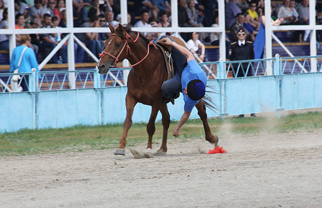 Четыре рекорда установили спортсмены-конники на День города в Чите