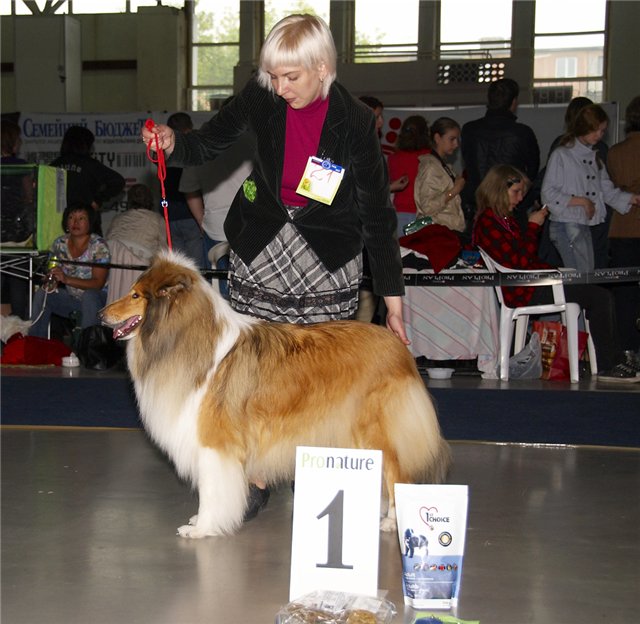 Четвероногая гордость Забайкалья