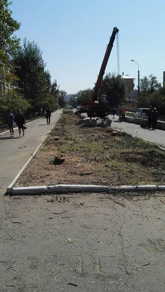 ТГК-14 выпилила аллею в районе школы №49 в Чите