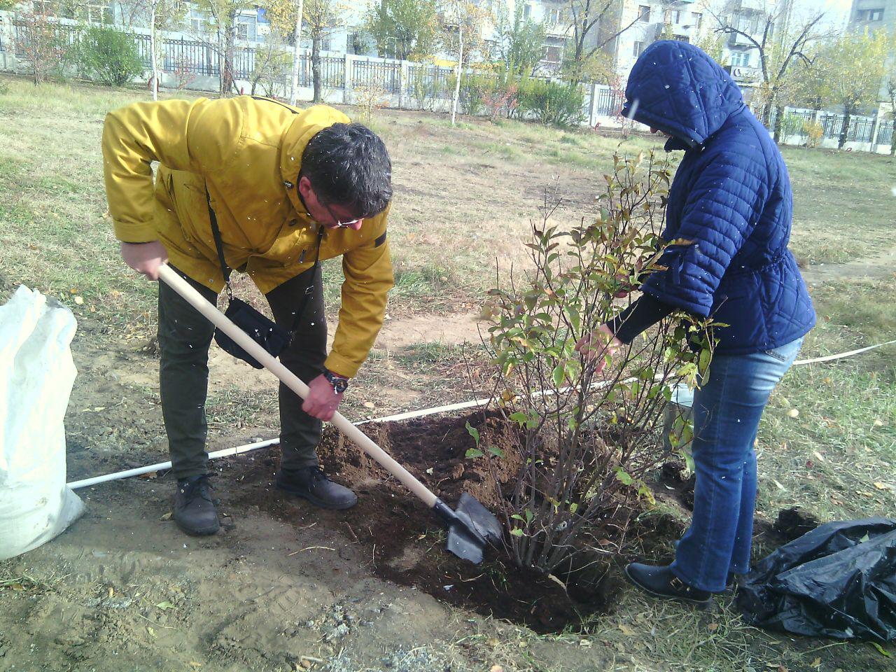Общественники высадили деревья на пл. Декабристов в Чите