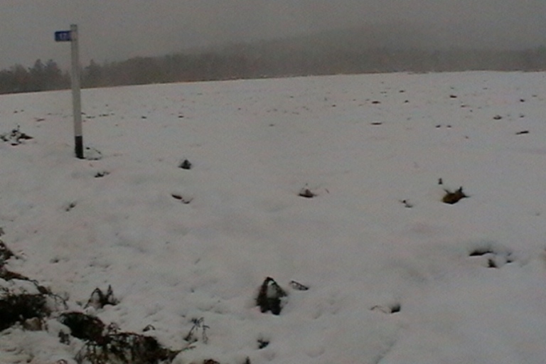 Режим ЧС введен в районе Забайкалья, где от снегопада пострадали почти 1000 га зерновых