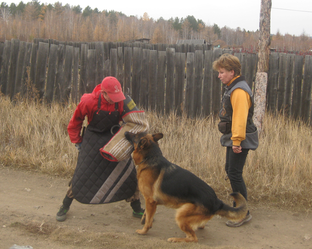 Куда пойти учиться в 2017 году?