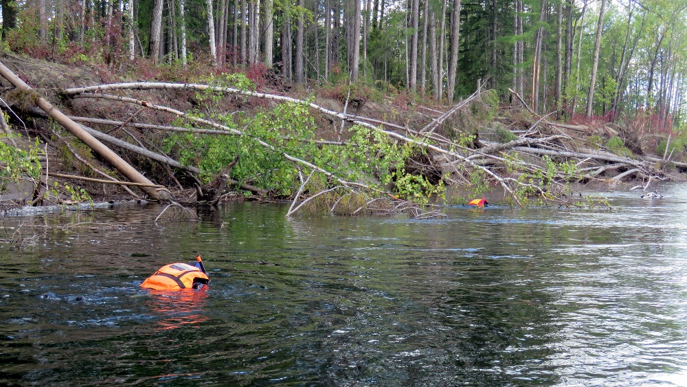 Спасатели возобновили поиски пропавшего на реке Куанда китайца