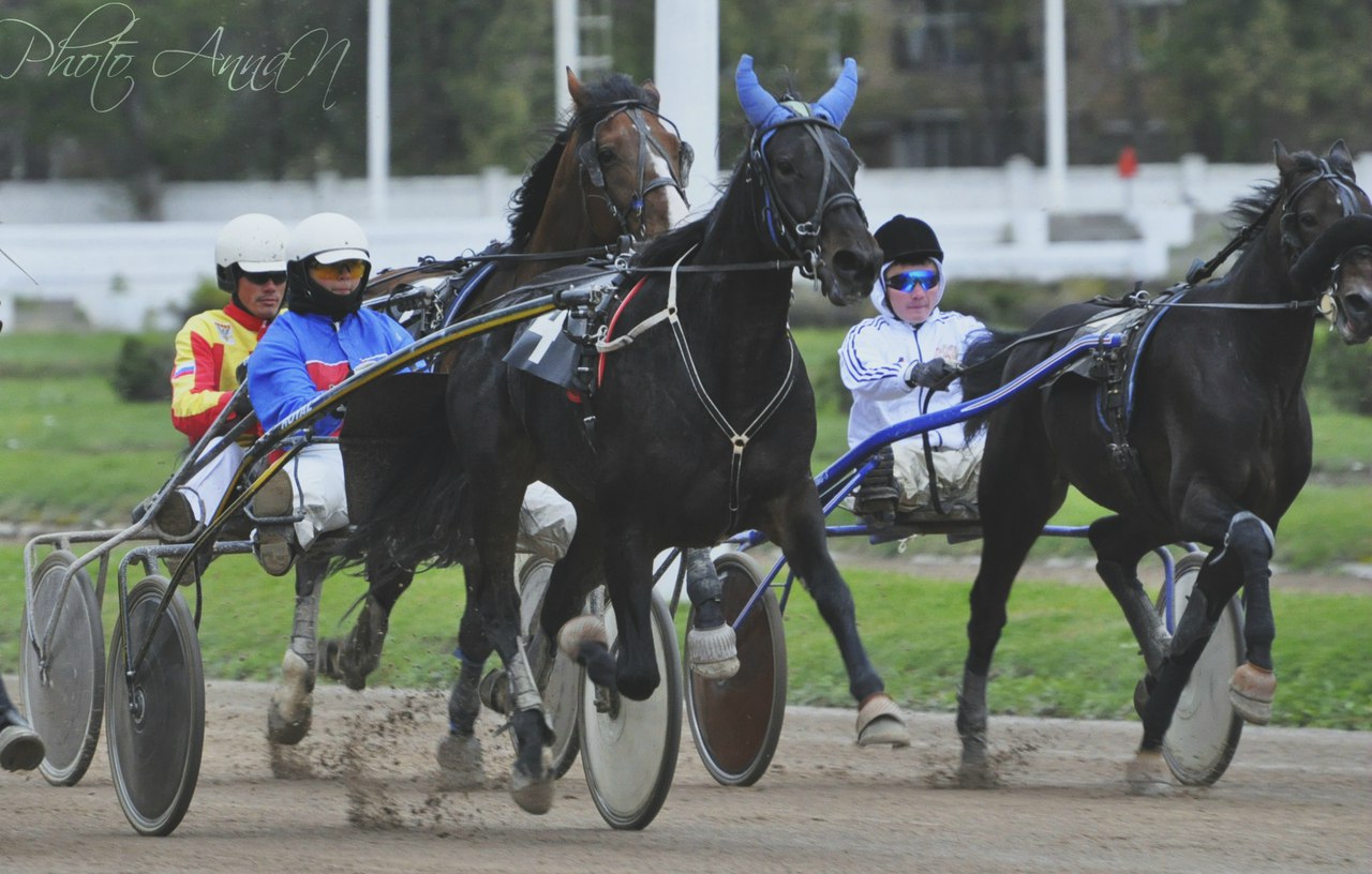 Самая красивая работа