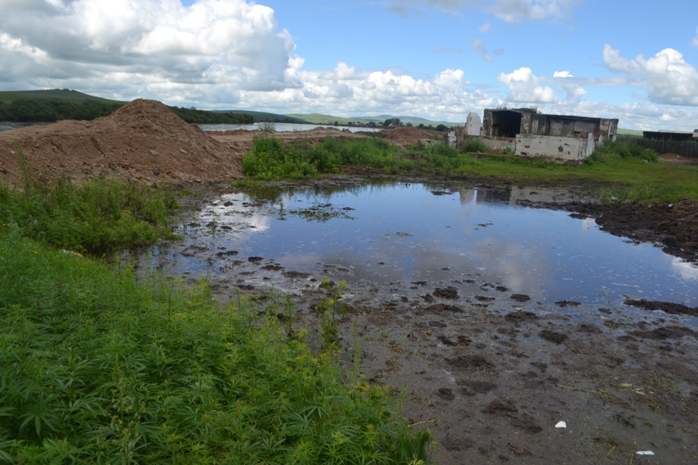 Михайлов: Проблем слишком много, но решать их надо быстро