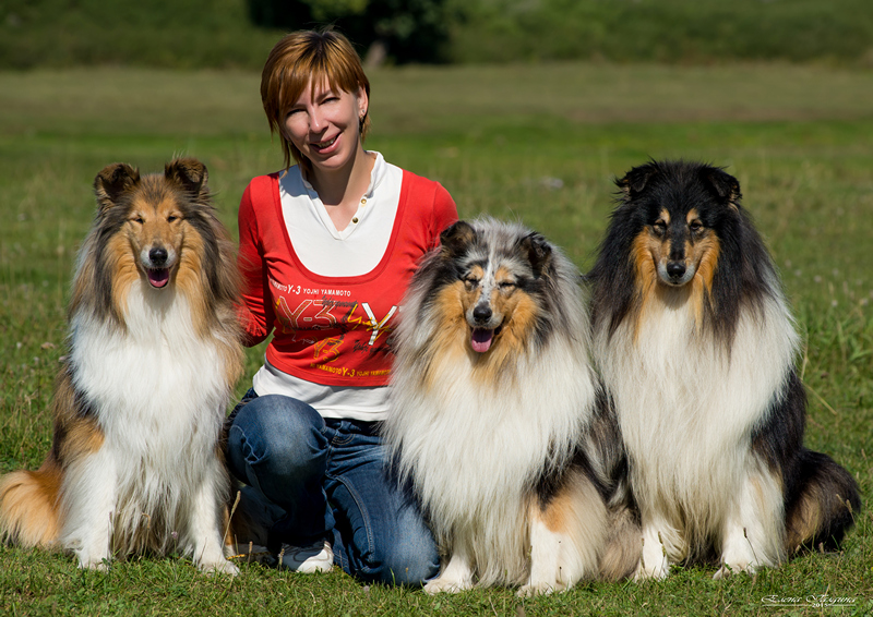 Четвероногая гордость Забайкалья