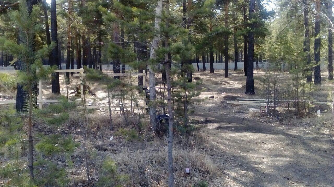 Строители возводят забор на месте будущей лаборатории по опасным болезням в Чите