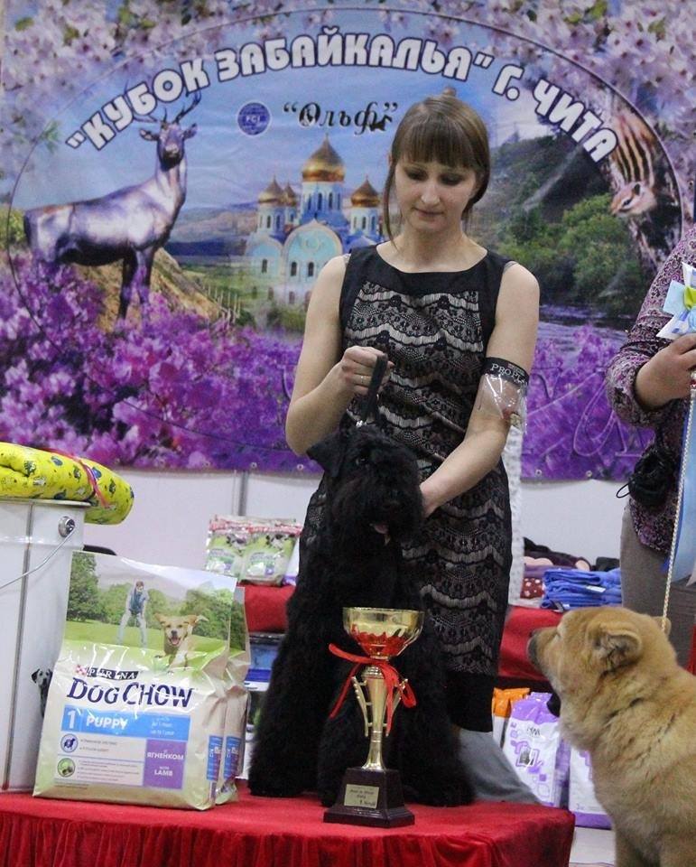 Четвероногая гордость Забайкалья