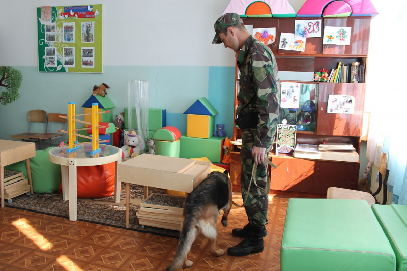 Полицейские с собаками проверили читинские школы на наличие опасных предметов