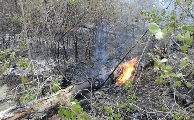 Лесной пожар вспыхнул от подожженного авто в Читинском районе