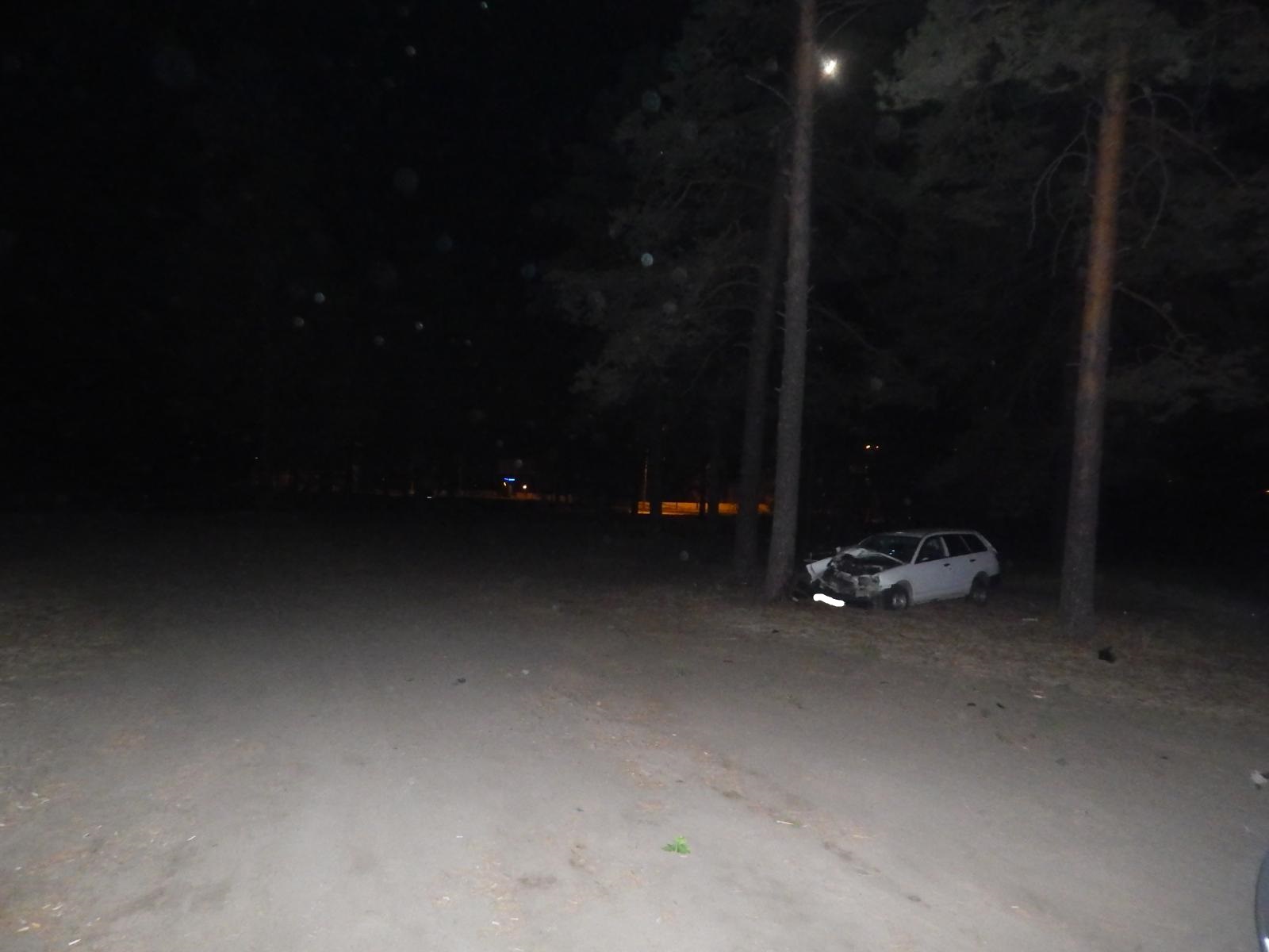 Жительница Читы на Nissan AD ночью врезалась в дерево