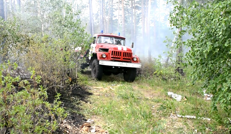 Лесной пожар вспыхнул от подожженного авто в Читинском районе