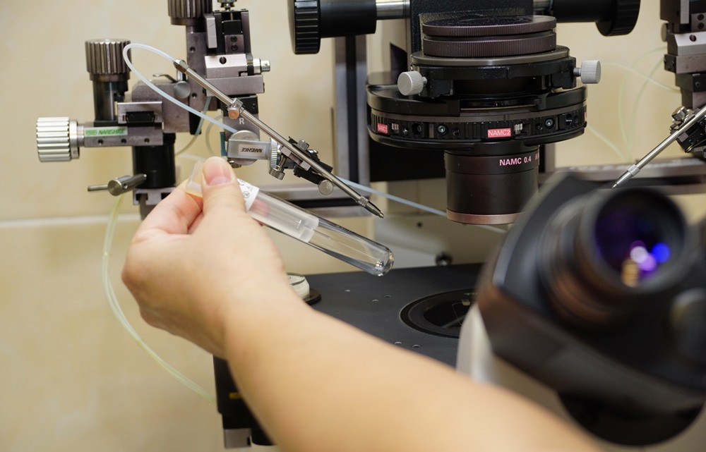 Оборудование для искусственного оплодотворения за 1,8 млн р закупили в Забайкалье