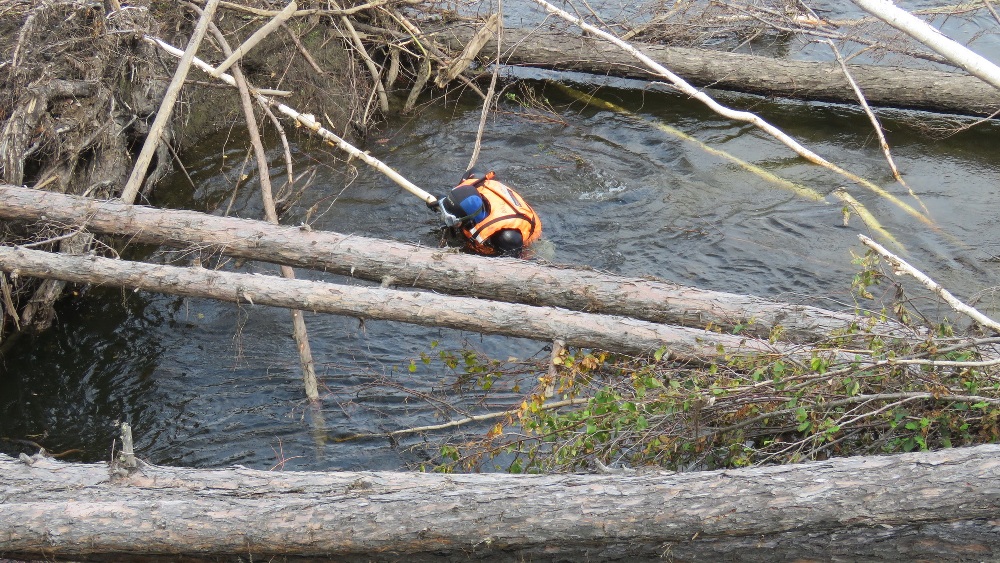 Спасатели возобновили поиски пропавшего на реке Куанда китайца