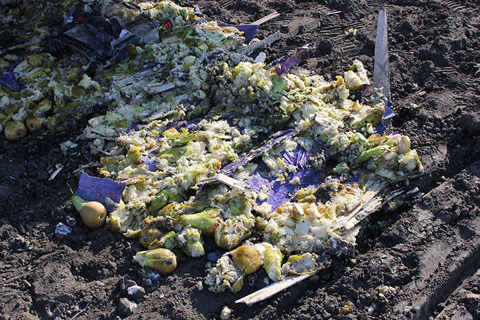 Более 28 тонн «санкционки» уничтожили в Забайкалье за 3,5 года