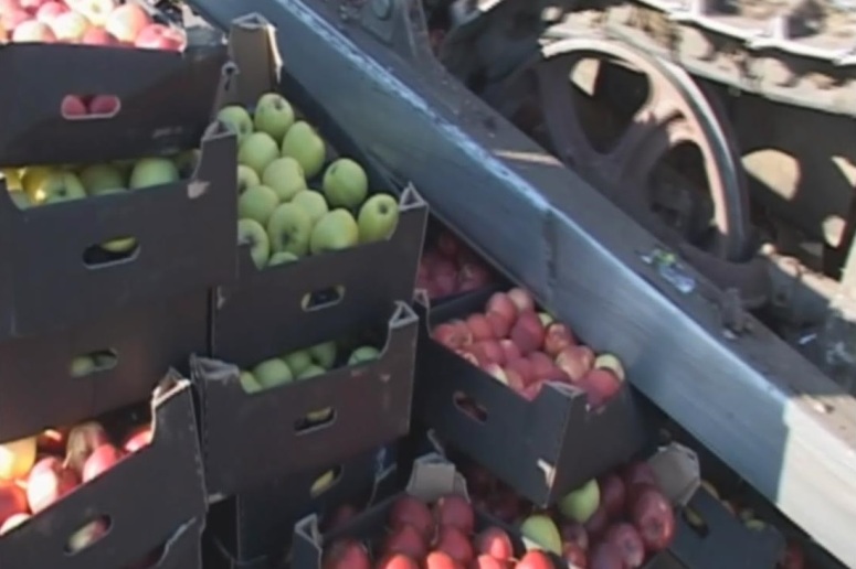 Более 4 тонн «санкционных» яблок уничтожили в Чите