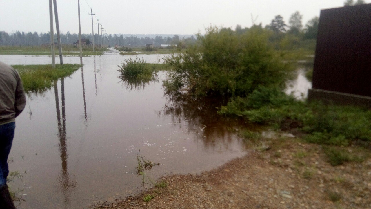 Река Чита подтопила огороды и дома в ДНТ «Земляничное»