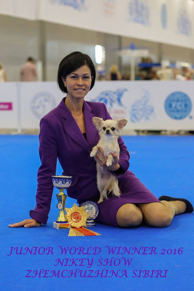 Четвероногая гордость Забайкалья