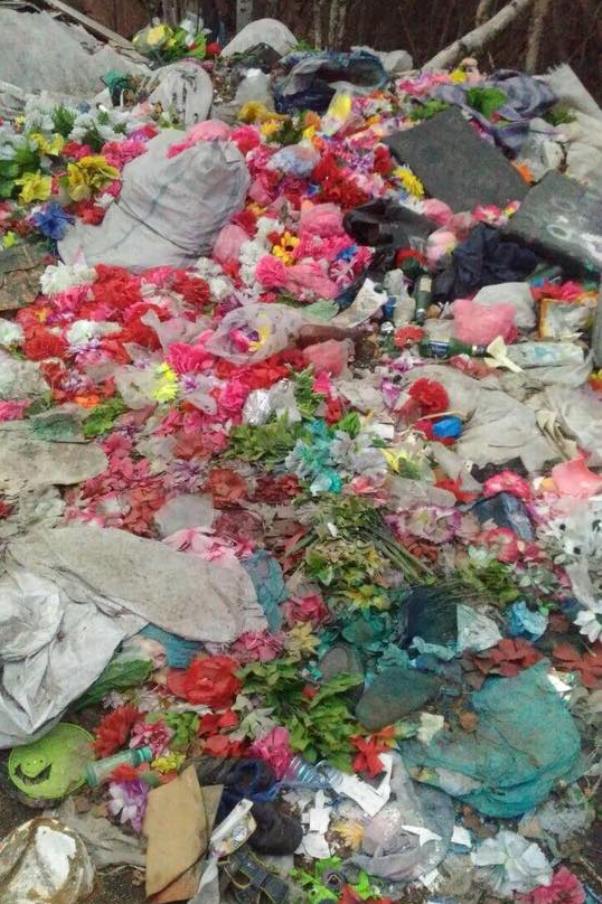 Лес возле Могочи усыпали кладбищенскими цветами