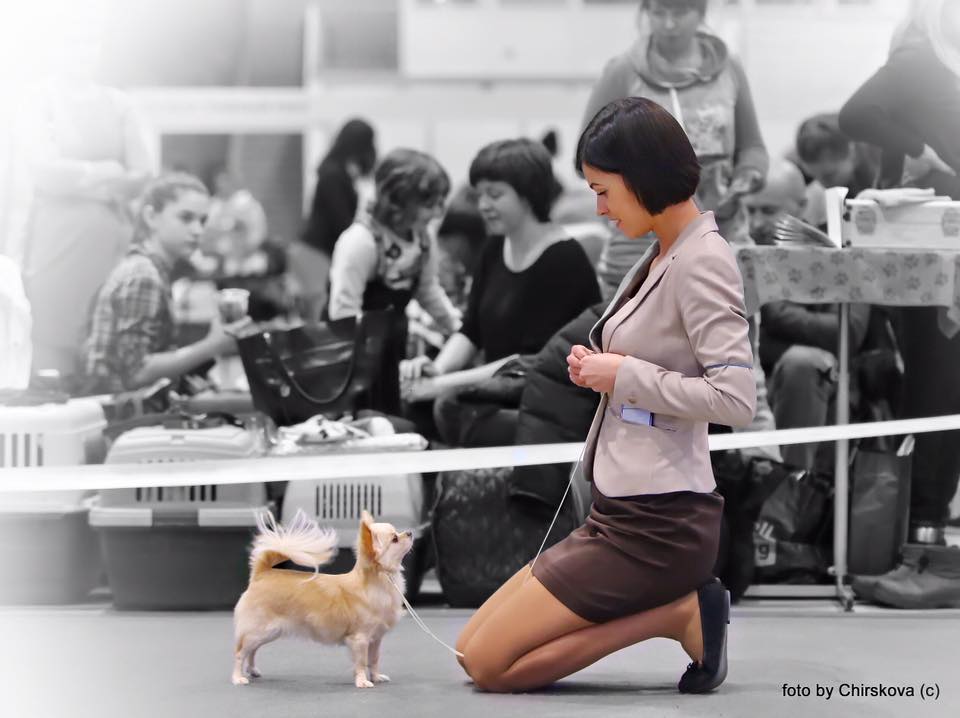 Четвероногая гордость Забайкалья