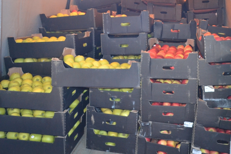 Более 4 тонн «санкционных» яблок уничтожили в Чите