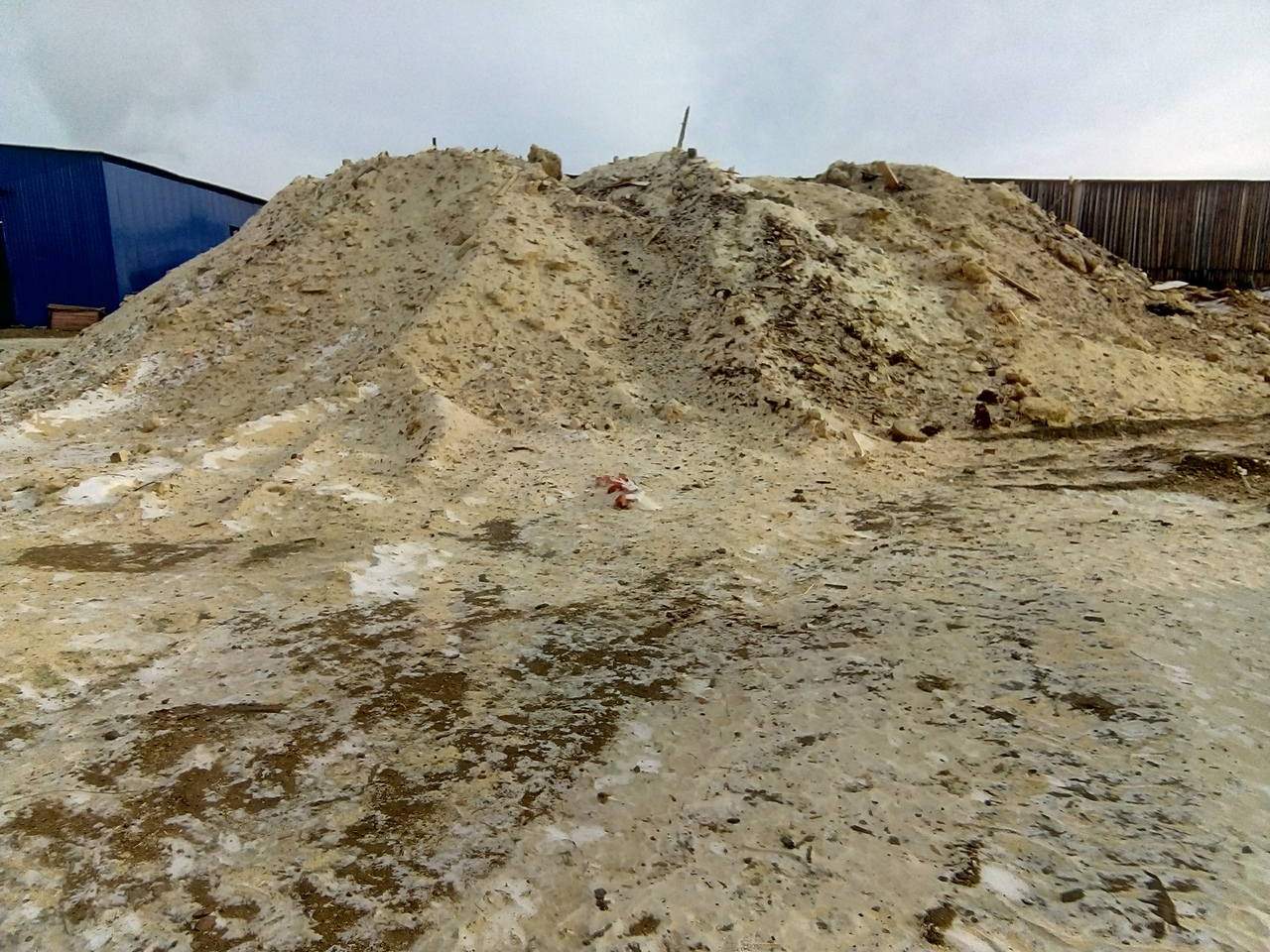 Директор единственного лесоперерабатывающего предприятия в крае рассказала Осипову о нехватке сырья