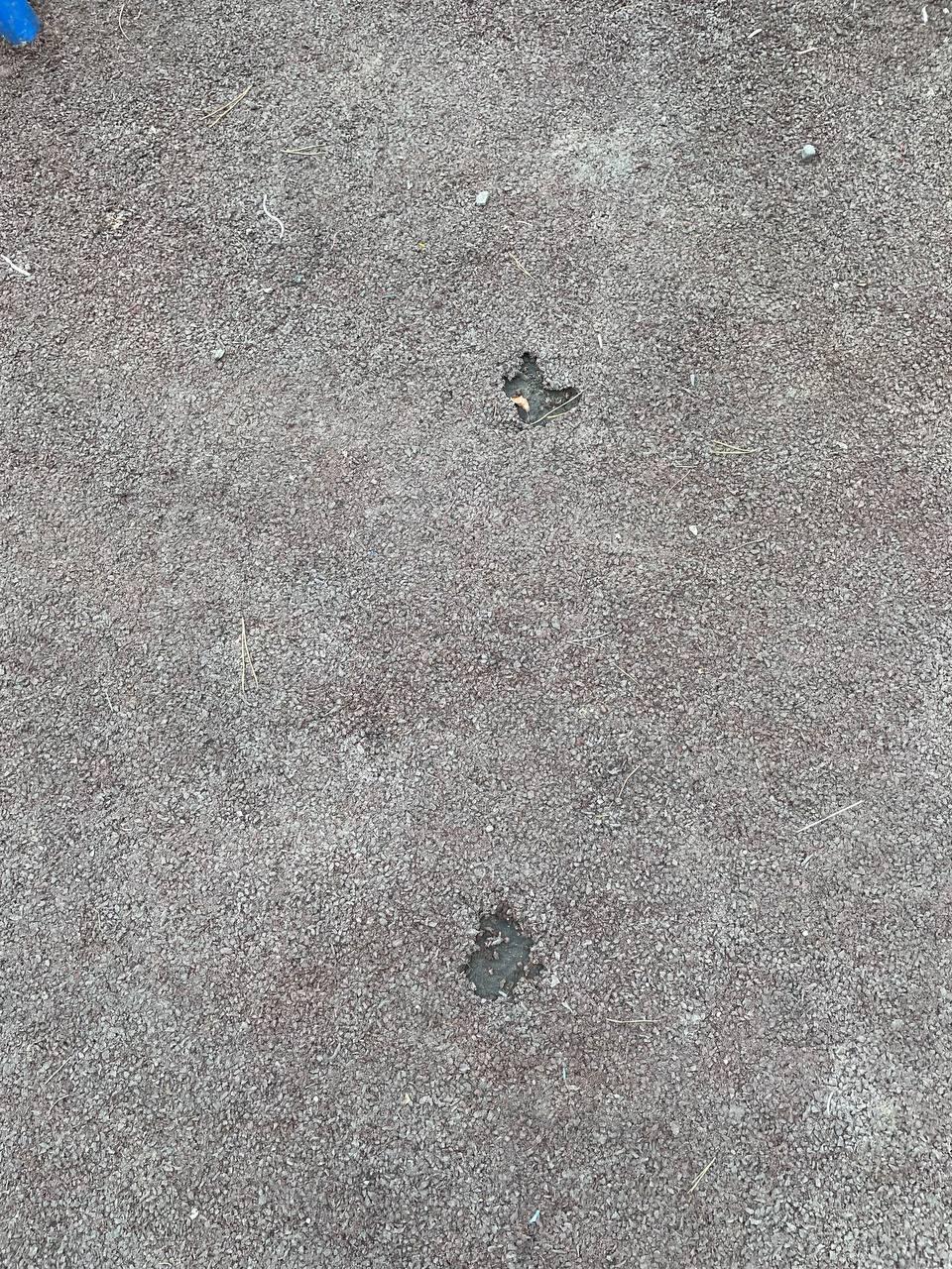 «Где 16 миллионов рублей?» — жители Борзи шокированы благоустройством двора