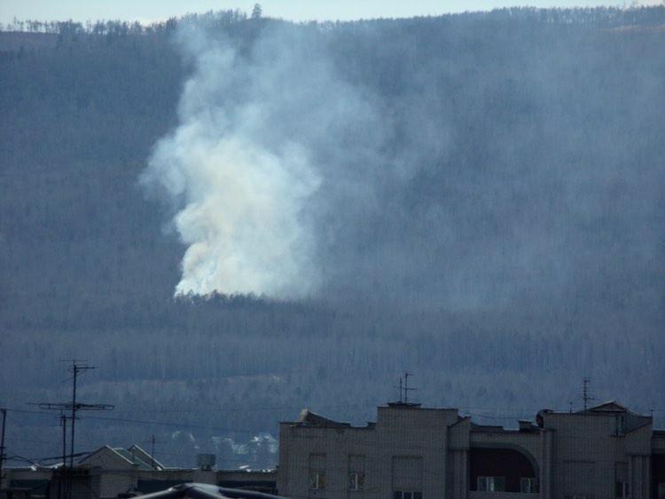 Лес загорелся в районе дороги на Молоковку в Читинском районе