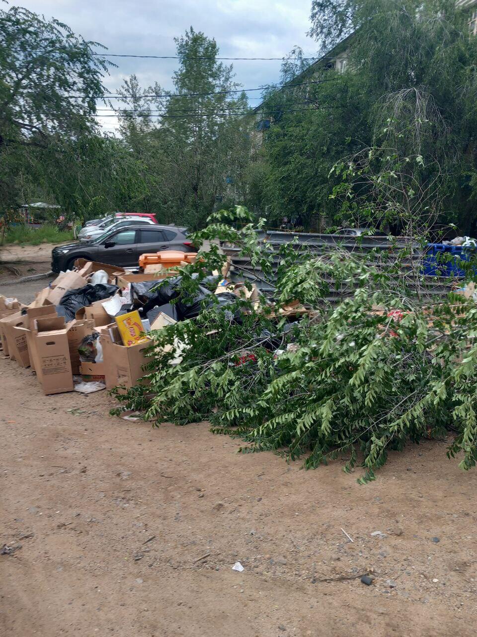 Жители микрорайона Северный шокированы растущей свалкой