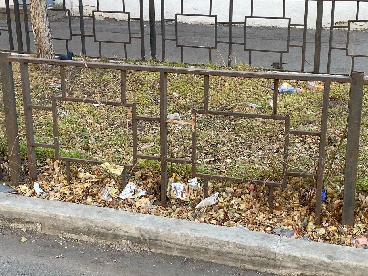 Жители Читы сообщают об антисанитарии на прилегающей к санитарной службе РЖД территории