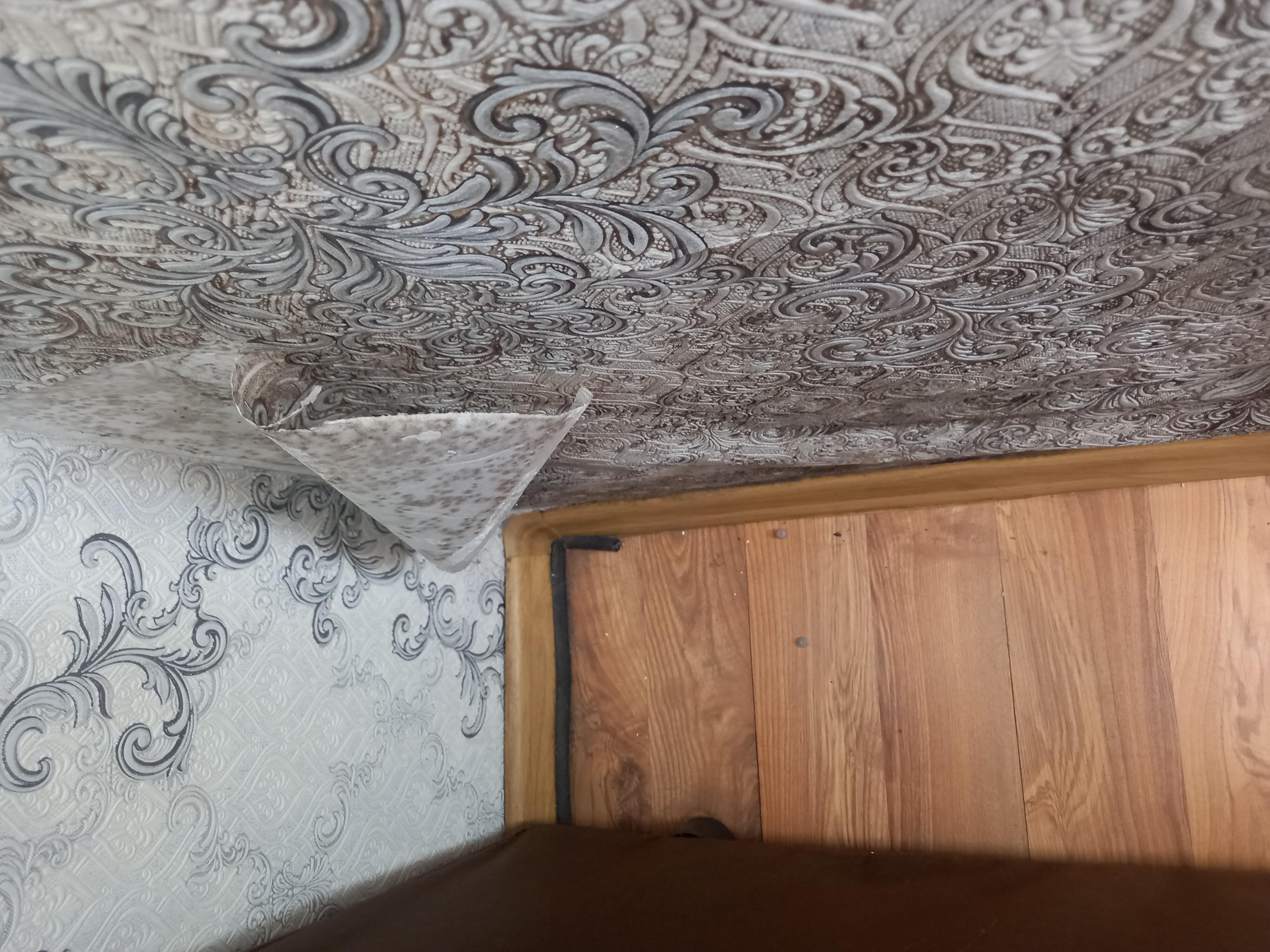 Еще один дом с плесенью обнаружен в Чите