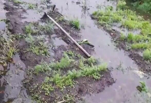 Участки в ДНТ «Строитель-2» затопило водой
