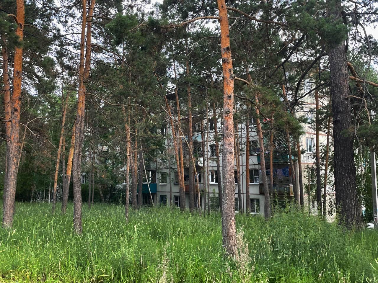 «В сравнении»: Северный и Сосновый Бор