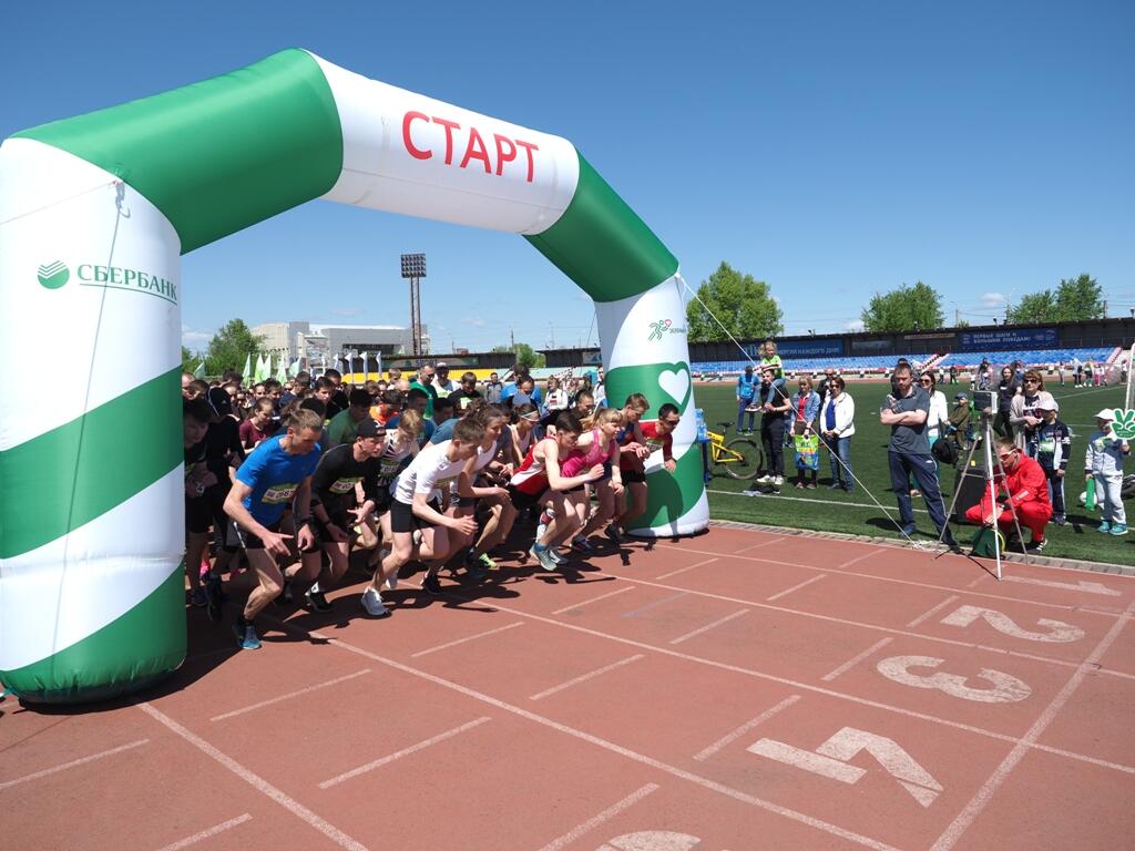 Greenmarathon sberbank. Зелёный марафон 2023 Чита. Зеленый марафон логотип. Вертушка зеленый марафон. Бейдж зеленый марафон.