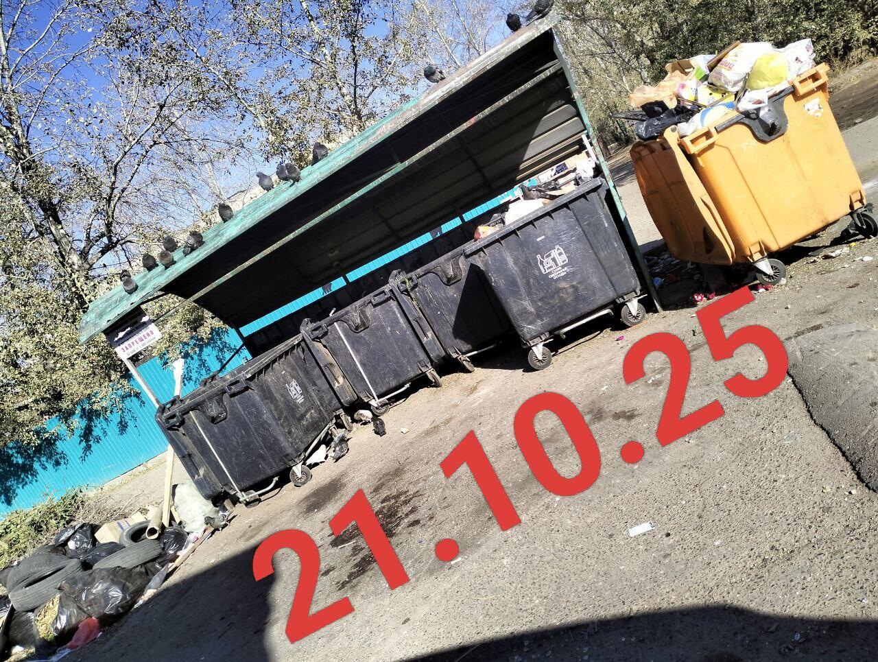 Читинцам предлагают требовать перерасчет оплаты за вывоз мусора