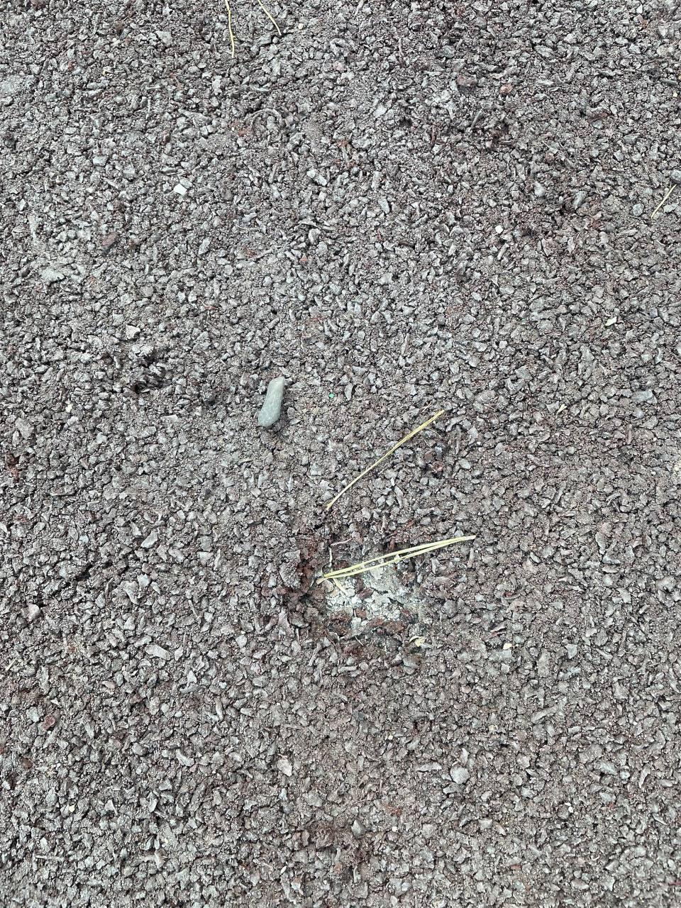 «Где 16 миллионов рублей?» — жители Борзи шокированы благоустройством двора