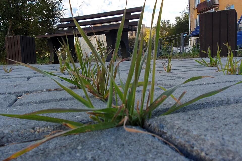 ЛИЧНОЕ ДЕЛО: Наследие Александра Сапожникова. Часть 2