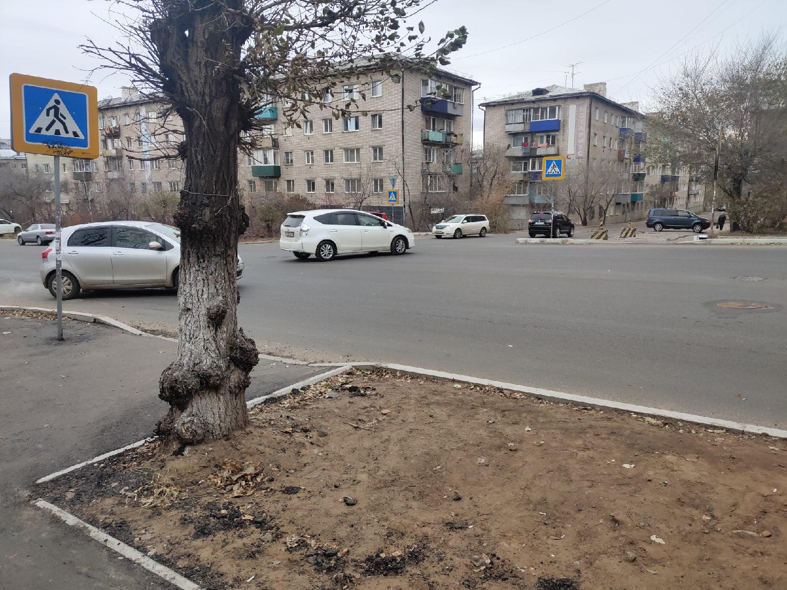 Читинец пожаловался на отсутствие разметки на переходе по улице Богомягкова
