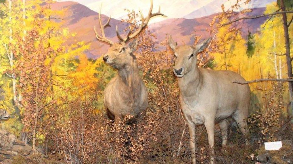 Большие выходные в маленьком городе
