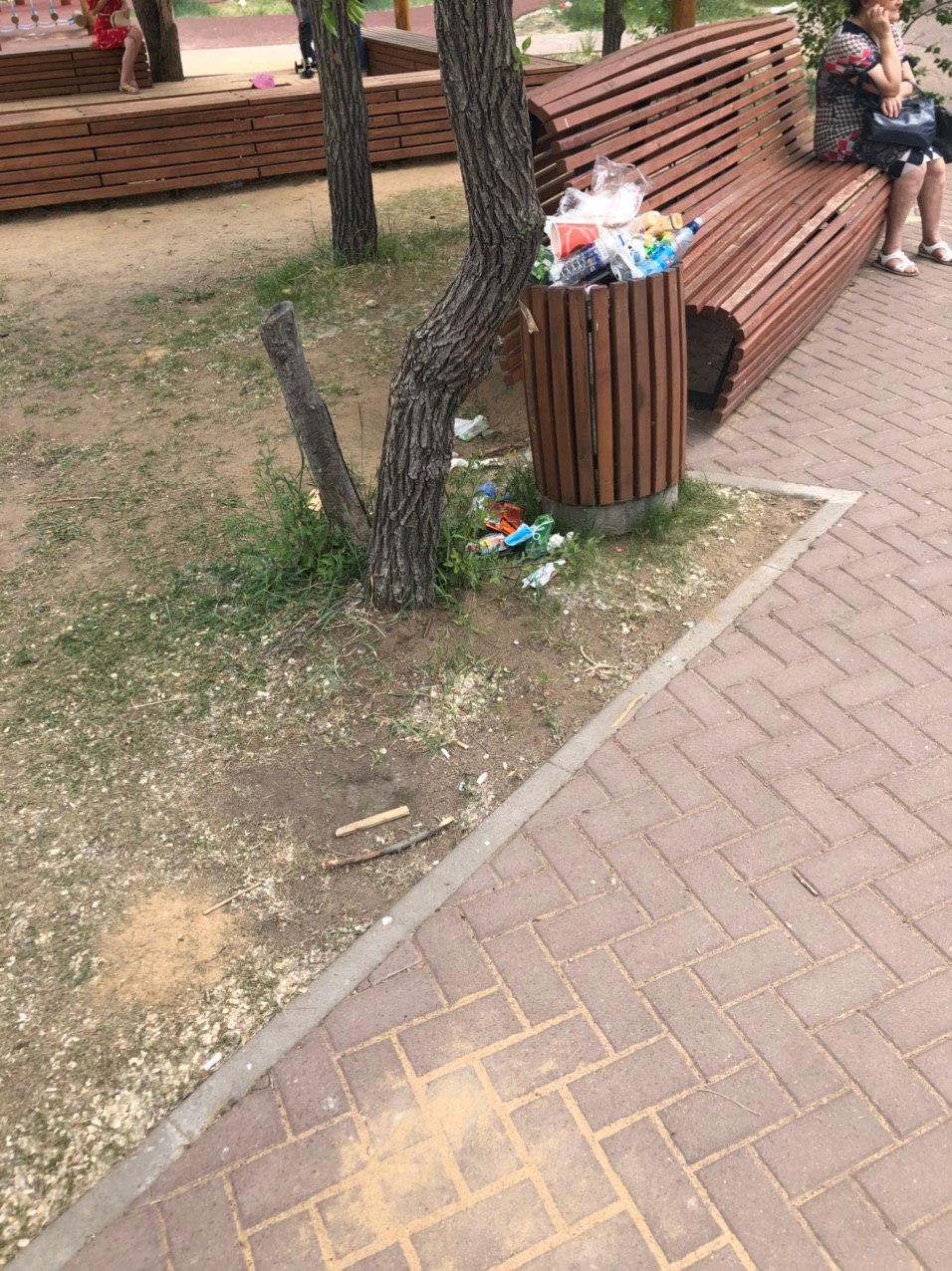С площади Декабристов не убирают мусор — очевидцы